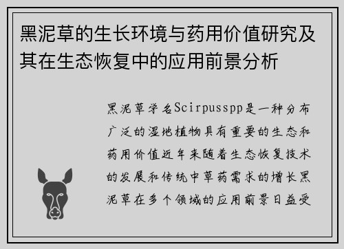 黑泥草的生长环境与药用价值研究及其在生态恢复中的应用前景分析